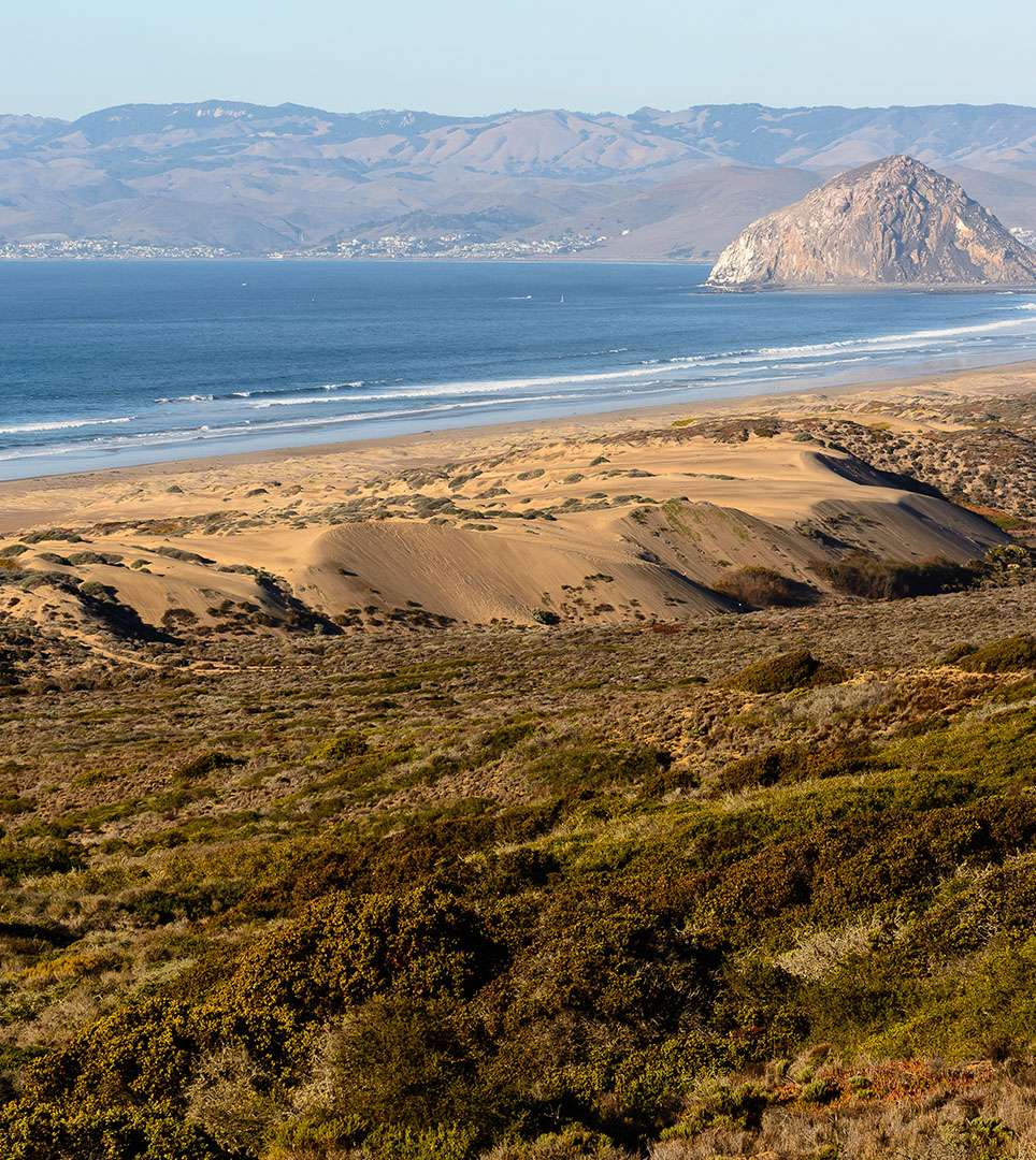 WALK TO THE BEACH, POPULAR RESTAURANTS, AND SHOPS TOP ATTRACTIONS NEAR OUR MORRO BAY HOTEL