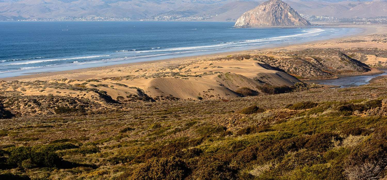 WALK TO THE BEACH, POPULAR RESTAURANTS, AND SHOPS TOP ATTRACTIONS NEAR OUR MORRO BAY HOTEL